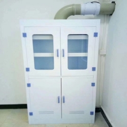 新疆实验室PP试剂柜 药品柜 PP实验台